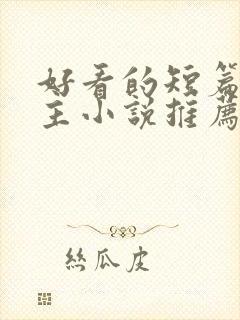 好看的短篇双男主小说推荐完结