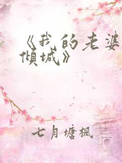 《我的老婆倾国倾城》