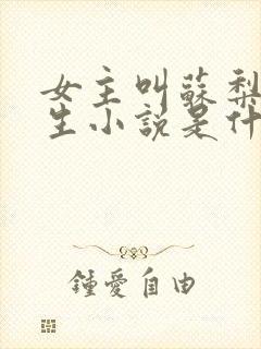 女主叫苏梨的重生小说是什么