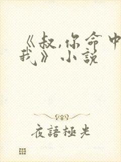 《叔,你命中缺我》小说