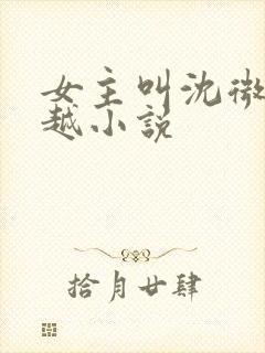 女主叫沈微的穿越小说