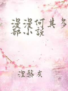 漫漫何其多的全部小说