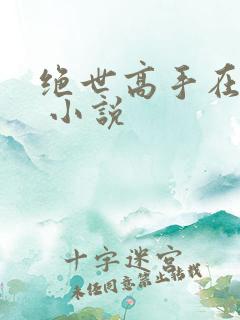 绝世高手在都市 小说
