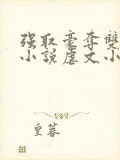 强取豪夺双男主小说虐文小说推荐