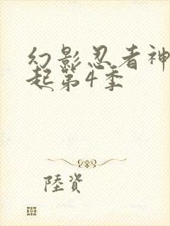 幻影忍者神龙崛起第4季