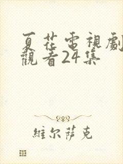 夏花电视剧免费观看24集