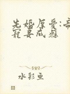 先婚厚爱:帝少宠妻成瘾