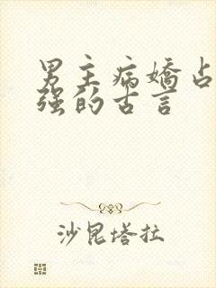 男主病娇占有欲强的古言