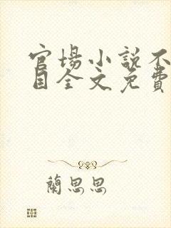 官场小说不堪入目全文免费阅读