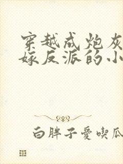 穿越成炮灰我怒嫁反派的小说