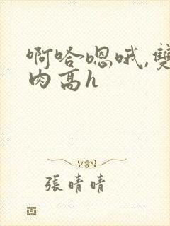 啊哈嗯哦,双性肉高h