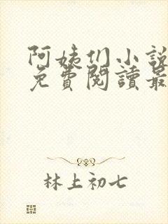 阿姨们小说全文免费阅读最新章节