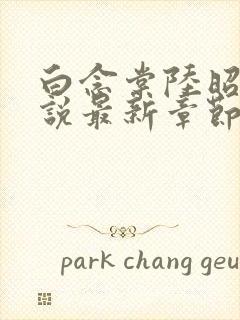 白念棠陆昭珩小说最新章节免费阅读