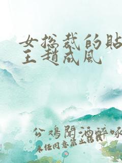 女总裁的贴身兵王赵成风