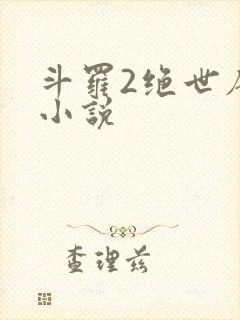 斗罗2绝世唐门小说