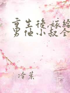 重生后,嫁给渣男他小叔全集阅读