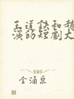 王道铁和赵佳主演的短剧大全