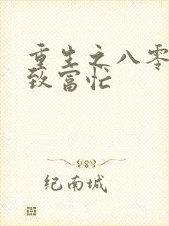 重生之八零佳妻致富忙