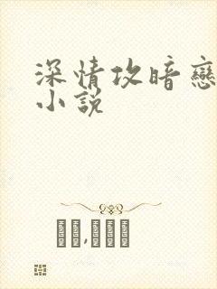 深情攻暗恋受的小说