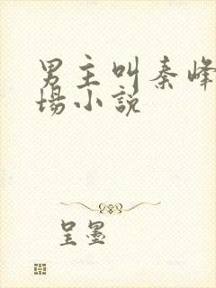 男主叫秦峰的官场小说