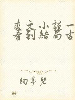 爽文小说一口气看到结局古言