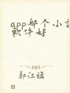 app哪个小说软件好