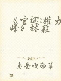 《官途:权力巅峰》林毅