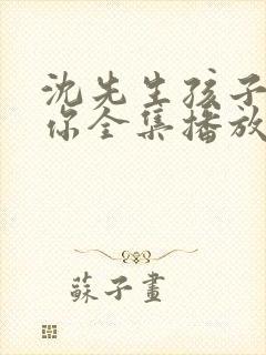 沈先生孩子不是你全集播放