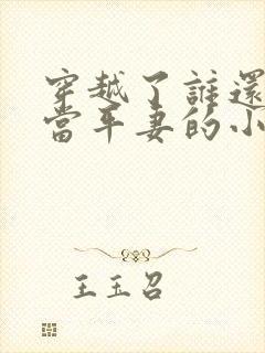 穿越了谁还稀罕当平妻的小说