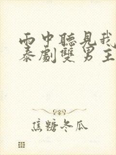 雨中听见我爱你泰剧双男主