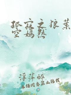 孤寂之狼叶凡司空嫣然