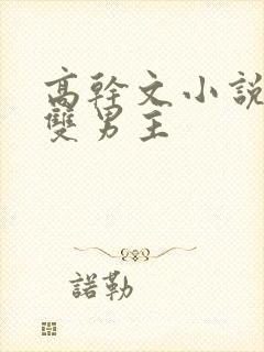 高干文小说推荐双男主