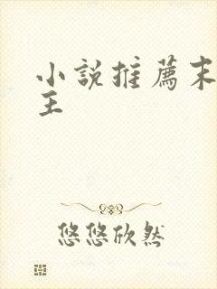 小说推荐末世女主