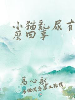 小猫乱尿有血怎么回事