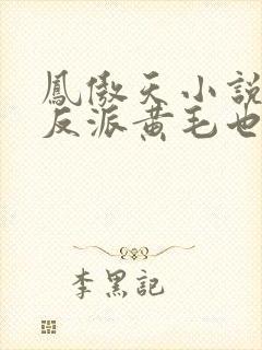 凤傲天小说里的反派黄毛也想要幸福