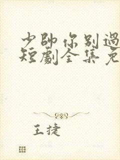 少帅你别过分野短剧全集免费看