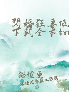 闪婚狂妻低调点下载全本txt