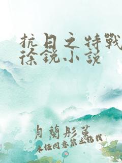 抗日之特战兵王徐锐小说