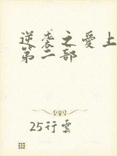 逆袭之爱上情敌第二部