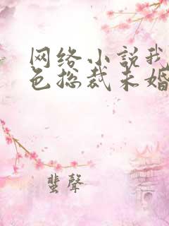 网络小说我的绝色总裁未婚妻