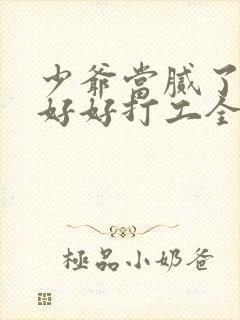 少爷当腻了只想好好打工全集免费观看