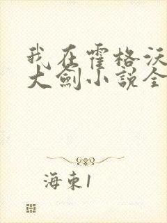 我在霍格沃茨抡大剑小说全文阅读