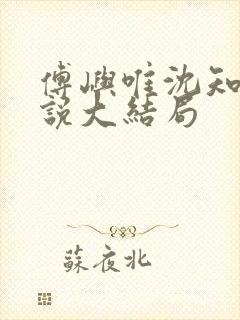 傅屿唯沈知意小说大结局