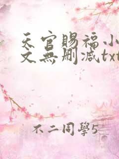 天官赐福小说全文无删减txt下载