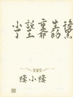 小说重生后我成了王爷的黑月光免费