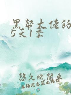 黑帮大佬的365天1季