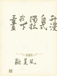 看我独自升级漫画下拉式漫画