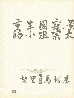 重生团宠,景爷的小祖宗太粘人全文免费阅读