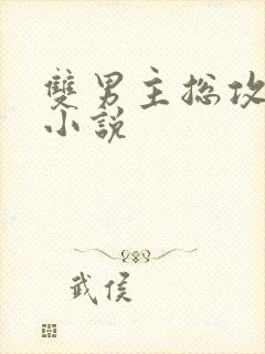 双男主总攻高h小说