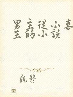 男主从小喜欢女主的小说